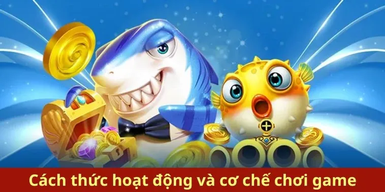 Bí Quyết Chơi Bắn Cá Royal Fishing Tại BuBet Thắng Lớn Nhanh Chóng