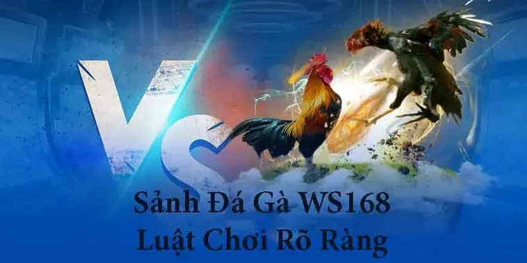 Cách Chơi Đá Gà WS168 Tại BuBet Hiệu Quả Nhất