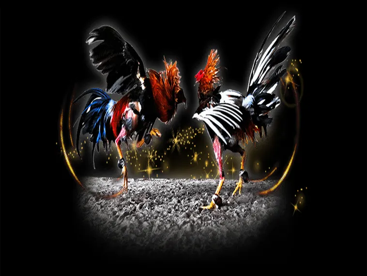 Đá Gà BuBet Trải Nghiệm Cá Cược Đỉnh Cao Hấp Dẫn 2025