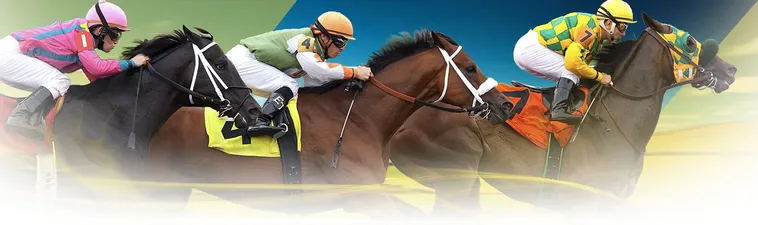 Tìm Hiểu Cá Cược Đua Ngựa BuBet Hấp Dẫn Cho Người Mới